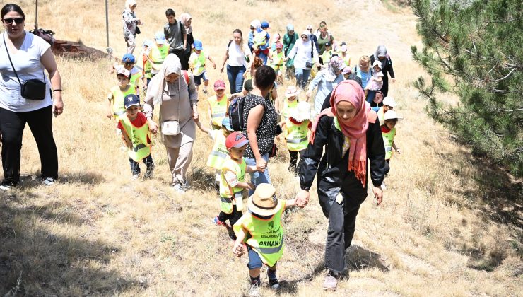 Orman Okulu; Doğayla Öğrenmenin En Eğlenceli Yolu